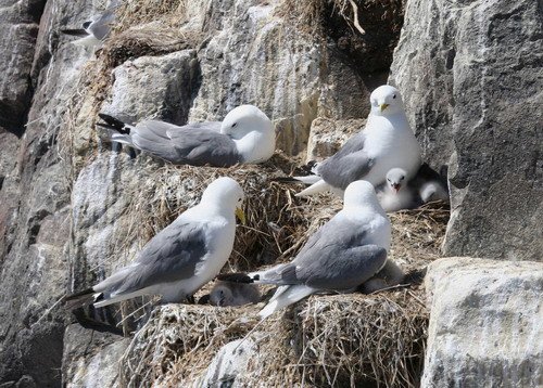 image kit_panderwald3085-jpg