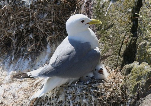 image kit_panderwald3209-jpg