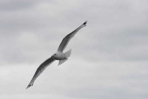 image kit_panderwald4-jpg