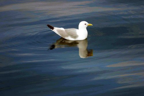 KIT PGHEvans47 image kit_pghevans47-jpg