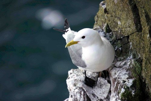 KIT PGHEvans54 image kit_pghevans54-jpg