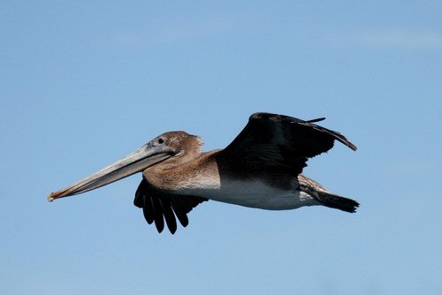 image bpel_pghevans_6460-jpg