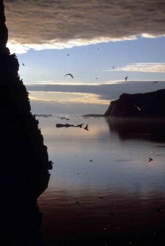 image sbc_pghevans16-jpg