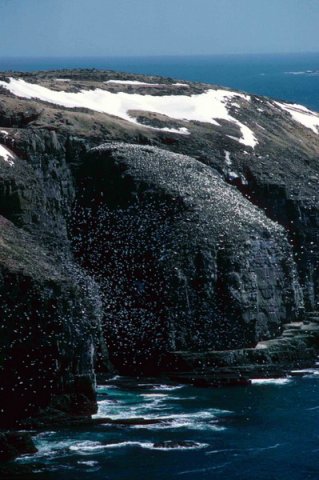 image sbc_pghevans19-jpg