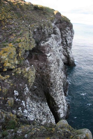 image sbc_pghevans35-jpg