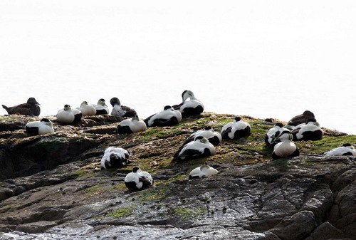 image eid_pghevans5-jpg