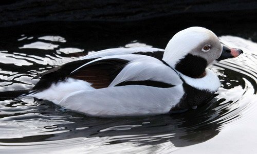 image ltd_pghevans6140-jpg