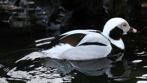 image ltd_pghevans6143-jpg