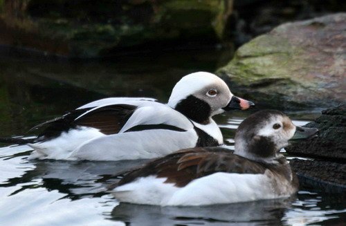 image ltd_pghevans6150-jpg