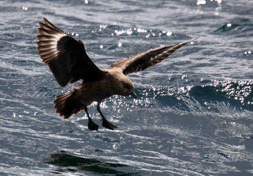 GSKUA PGHEvans1322 image gskua_pghevans1322-jpg