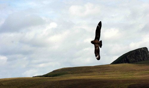 GSKUA PGHEvans7659 image gskua_pghevans7659-jpg