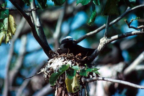 image ntern_pghevans3-jpg