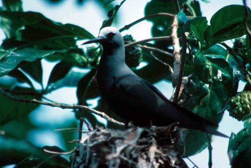 image ntern_pghevans4-jpg