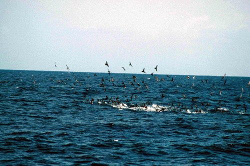 image ntern_pghevans5-jpg