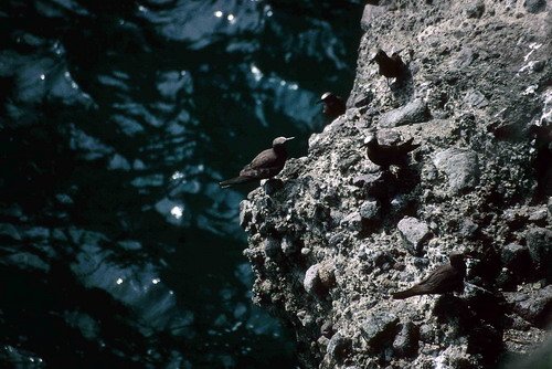 image ntern_pghevans6-jpg