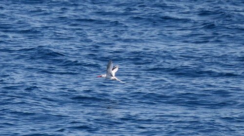 image rbtb_pghevans_7795-jpg