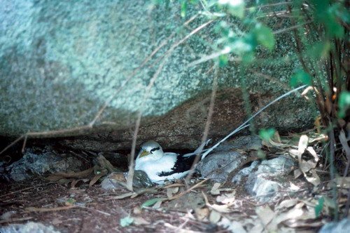 WTTB PGHEvans1 image wttb_pghevans1-jpg