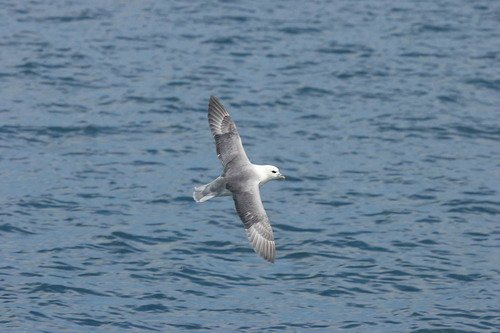 FUL PGHEvans0405 image ful_pghevans0405-jpg