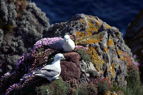 FUL PGHEvans40 image ful_pghevans40-jpg