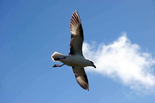 FUL PGHEvans42 image ful_pghevans42-jpg