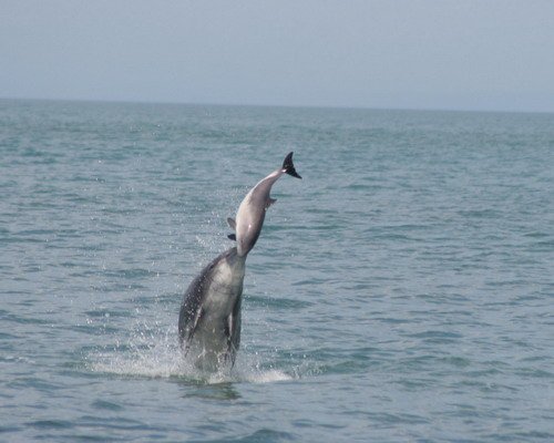 image bndhp_lhigby-jpg