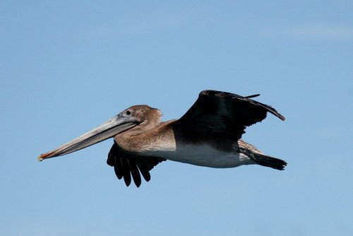 image bpel_pghevans_6460-jpg