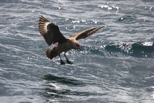 image gskua_pghevans1322a-jpg