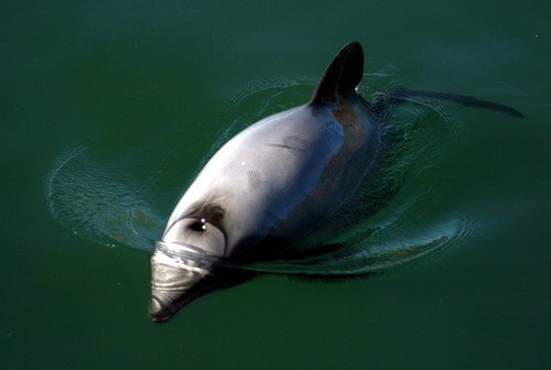 image hd_sbond1363b-jpg