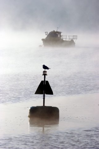 image hgull_pghevans5032-jpg