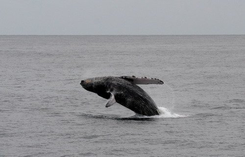 image hw_pghevans54-jpg