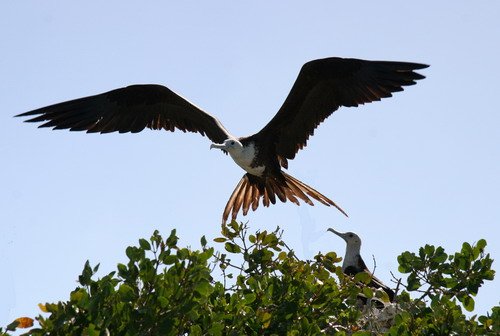 image mfb_pghevans_6852-jpg