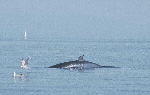 image mw_pghevans46-jpg